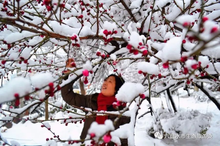 凉都群山别样风光,凉都处处是美景