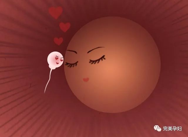 你这个小兔崽子用日语怎么说,你这个小兔崽子用英文怎么说