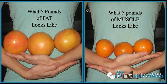 10张图看清人生真相,一张图看懂脂肪多可怕