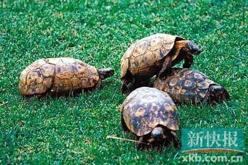 年关将至大家关注事项,年关将至请关注什么