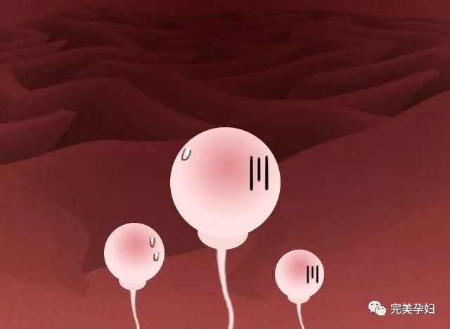 你这个小兔崽子用日语怎么说,你这个小兔崽子用英文怎么说