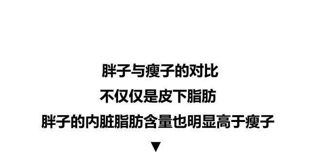 10张图看清人生真相,一张图看懂脂肪多可怕