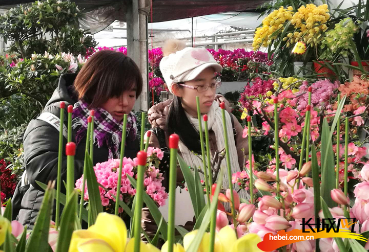 年货消费今年更红火,年货市场红火图片大全