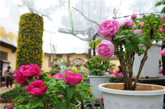 春节昆明周边好玩的地方推荐,昆明春节出游
