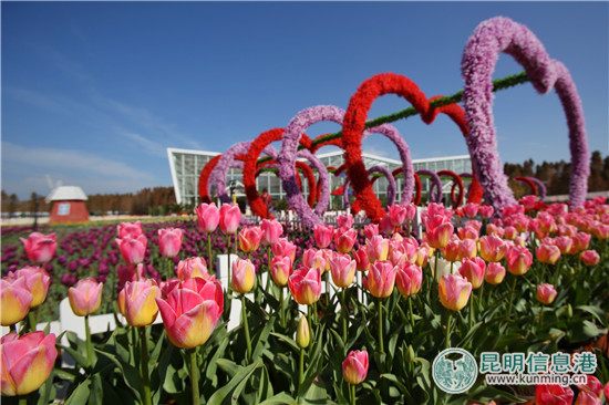 春节昆明周边好玩的地方推荐,昆明春节出游