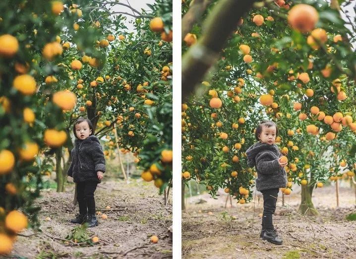 土著带你玩大连开发区,土著带你玩上海