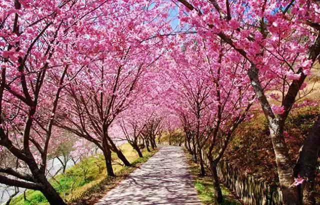 国内风景最好的旅游景点冬天,国内各地最美的十大自驾游线路