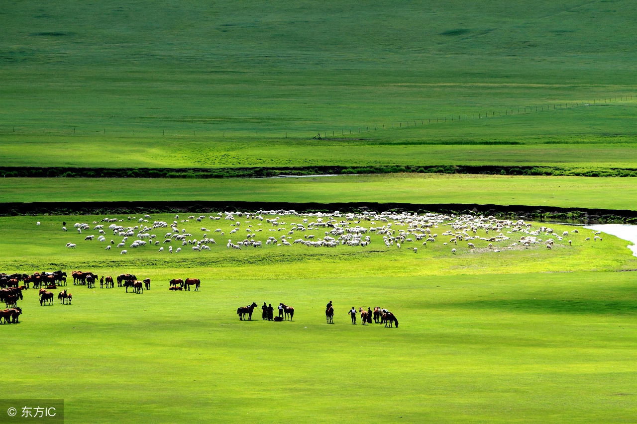 知识点清单一点通,anumberof和thenumberof用法