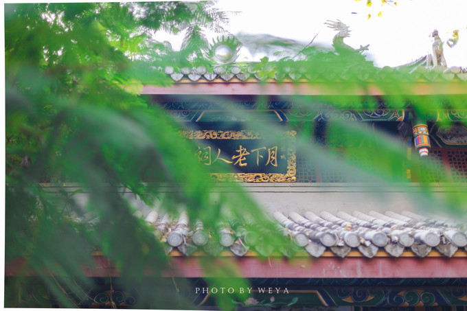 面面旅拍—诉不完千古泪，道不停三亚情，这个冬天我们掌心有太阳