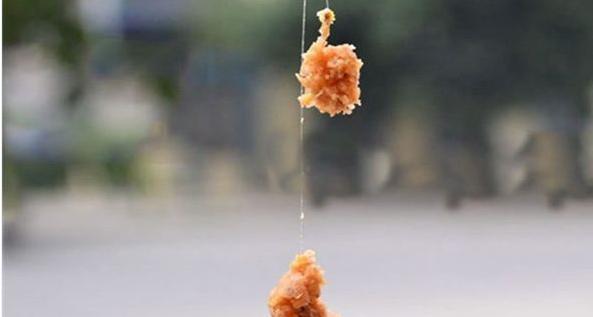 滑口鱼怎么钓效果最好,滑口鱼用什么饵料最好钓