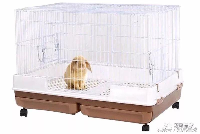 兔兔需要买多大的兔笼,兔兔的专用兔笼