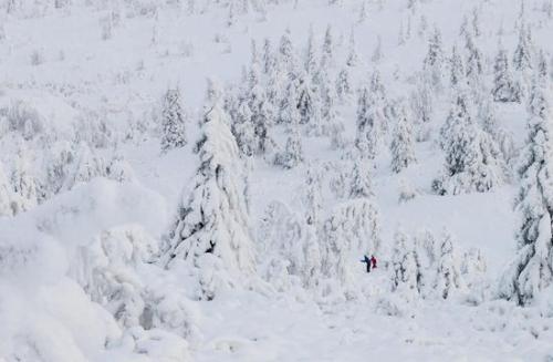 二年级在野外迷路了怎么辨别方向,野外迷路后我们通过什么辨别方向