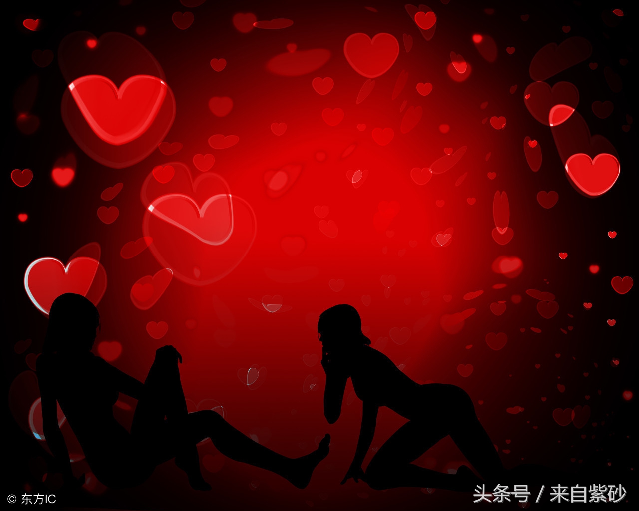 姓氏里面藏着的绝美诗,姓氏的动人情诗