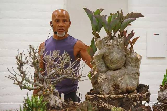 多肉万象最贵的品种,全世界最贵的多肉植物都有哪些