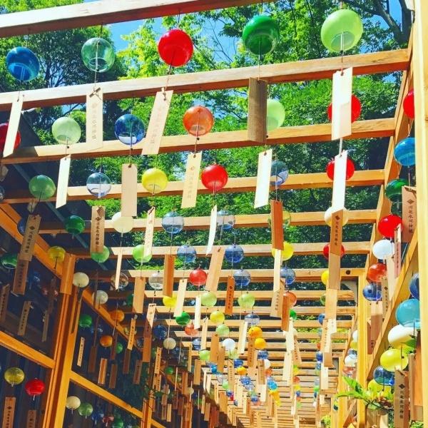 去一趟日本旅游需要多少钱,去趟日本旅游大概多少钱