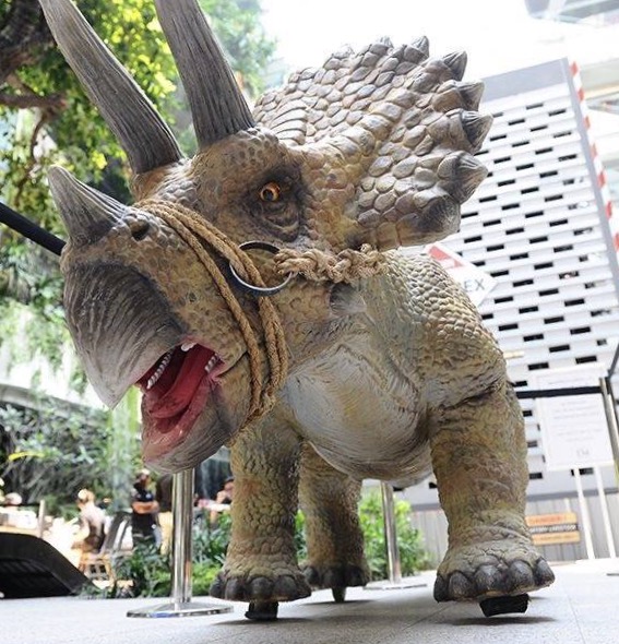 泰国曼谷亲子游攻略视频,泰国曼谷亲子游行程