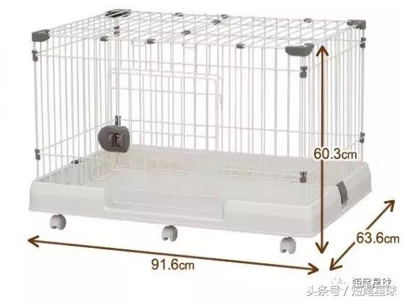 兔兔需要买多大的兔笼,兔兔的专用兔笼