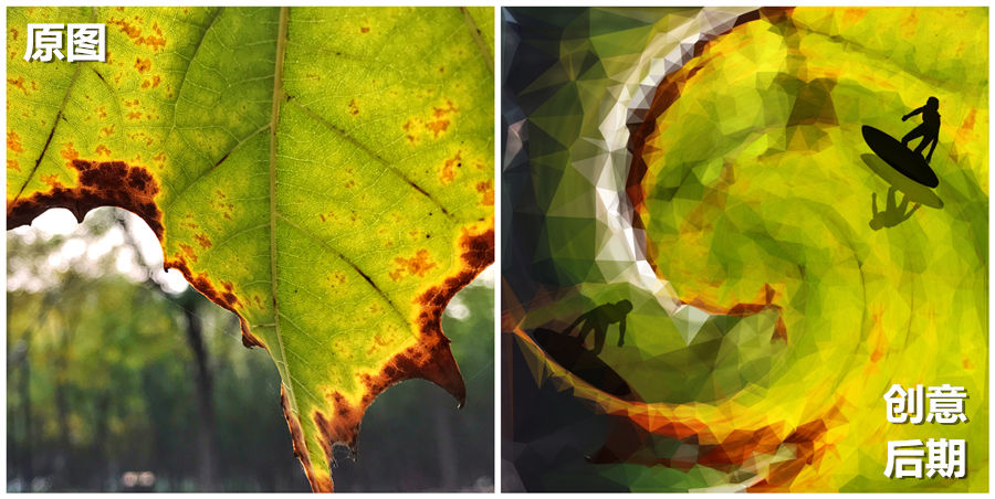 作图设计手机app,免费手机制作特效软件