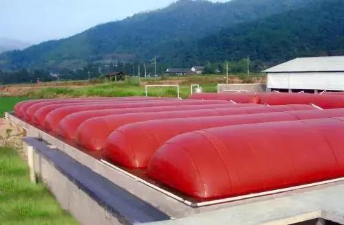 一亩地有回报吗,一亩地收益上万