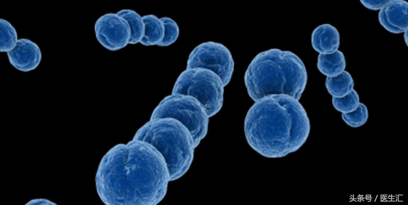 b族链球菌感染孕妇治疗,b族链球菌感染孕妇需要治疗吗