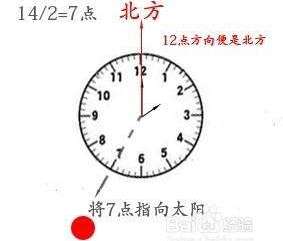 二年级在野外迷路了怎么辨别方向,野外迷路后我们通过什么辨别方向