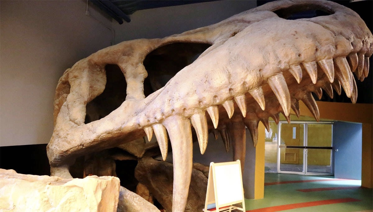 泰国曼谷亲子游攻略视频,泰国曼谷亲子游行程