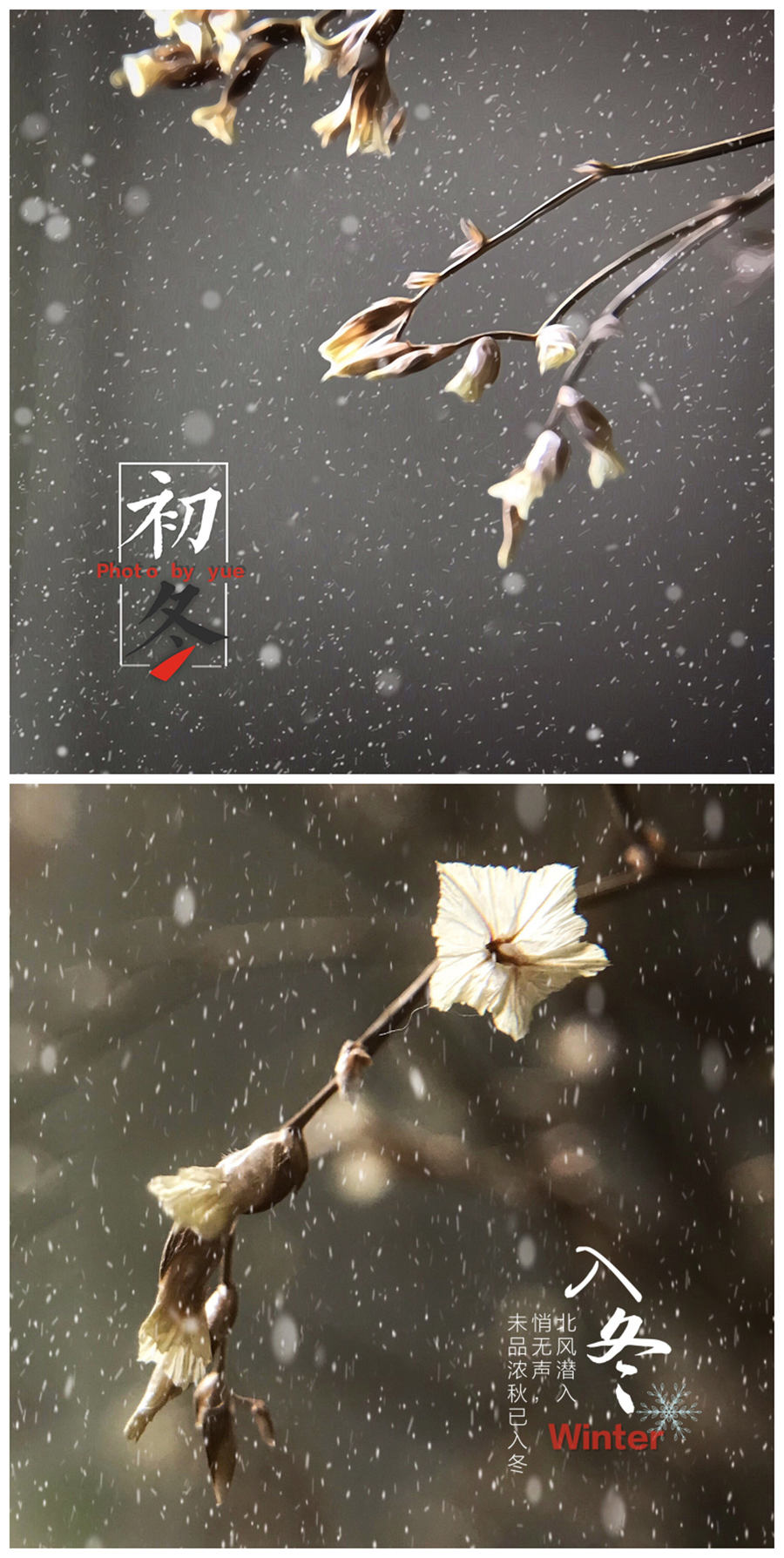 作图设计手机app,免费手机制作特效软件