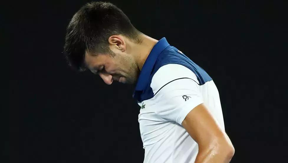 费纳和德约谁更厉害,德约交手费纳最新消息