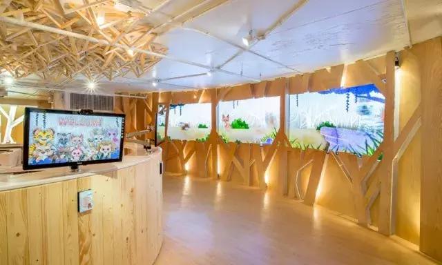 泰国曼谷亲子游攻略视频,泰国曼谷亲子游行程