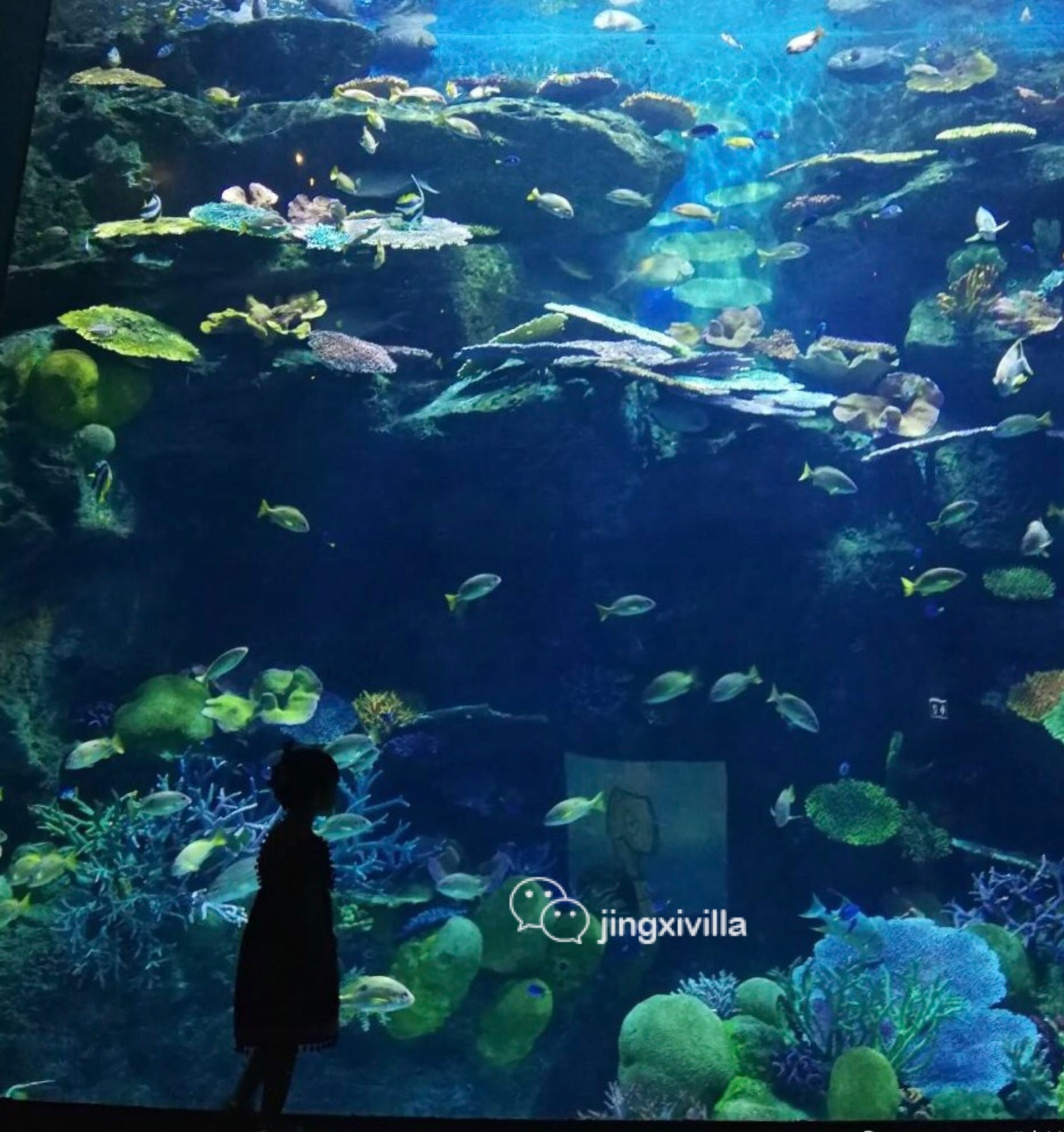 泰国曼谷亲子游攻略视频,泰国曼谷亲子游行程