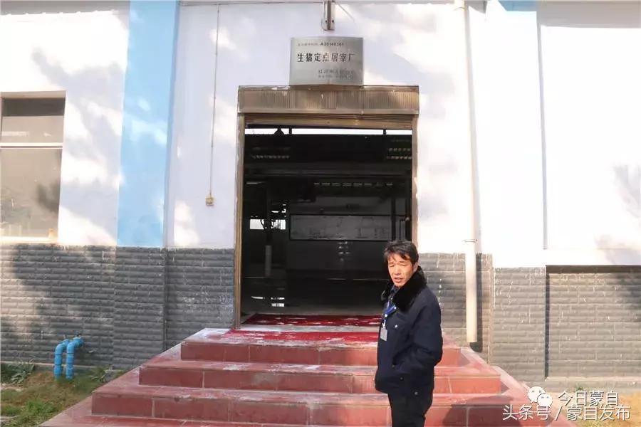 过年了，蒙自的这*猪种**肉千万别买！