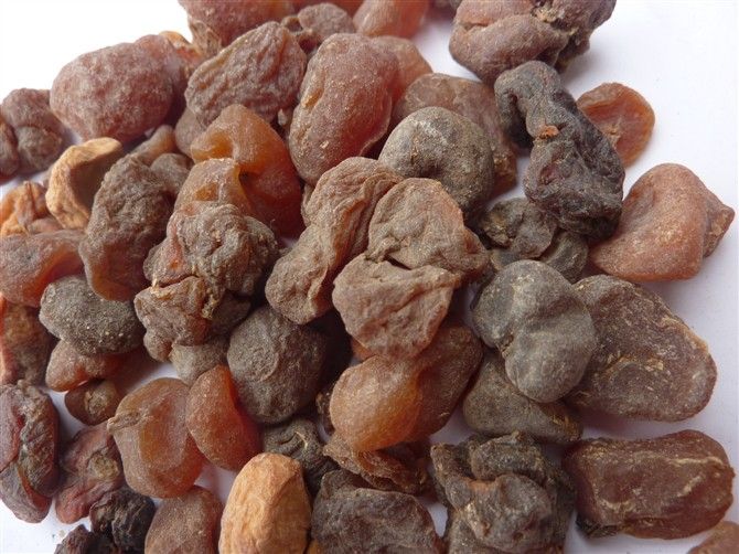 贝母止咳,贝母草药