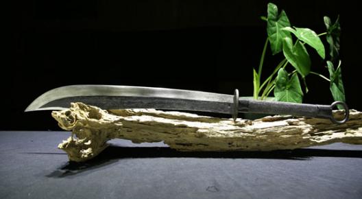 涨姿势了十个你不知道的生活常识,涨姿势知识