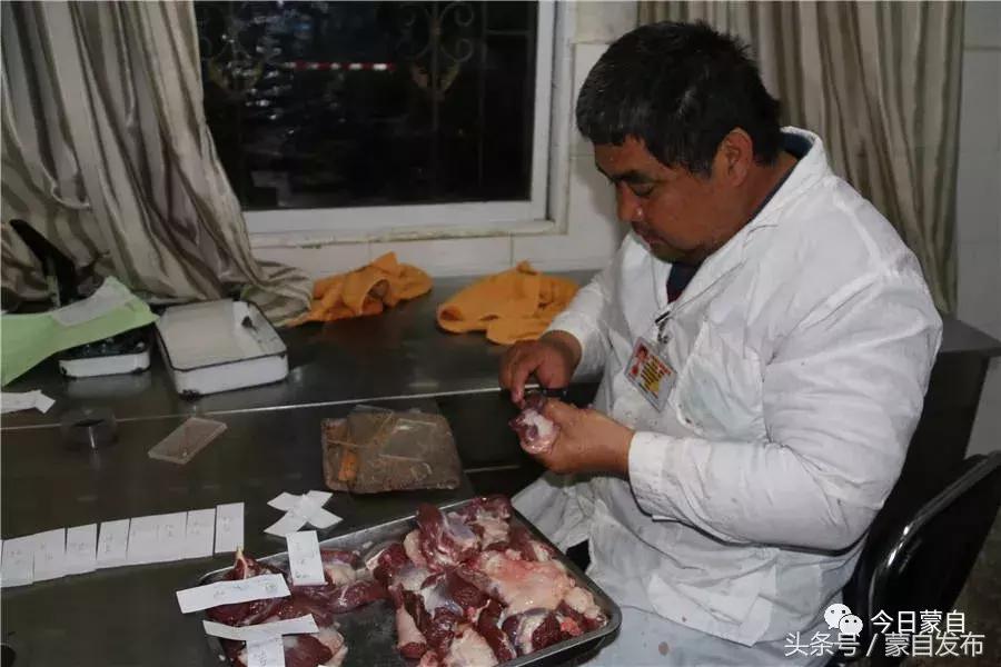 过年了，蒙自的这*猪种**肉千万别买！