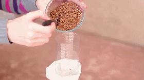 塑料瓶乌龟缸滤水器,用塑料瓶自制滤水器