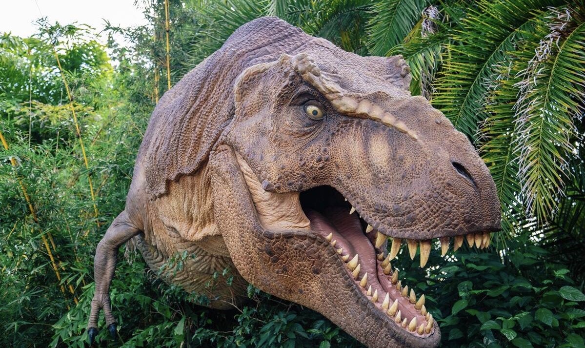 泰国曼谷亲子游攻略视频,泰国曼谷亲子游行程