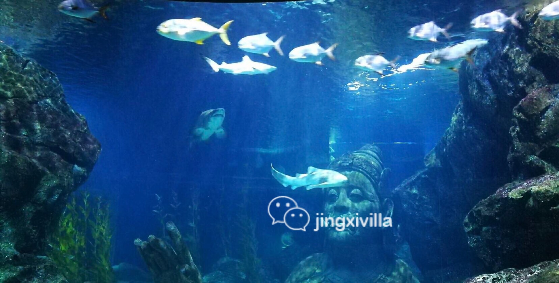 泰国曼谷亲子游攻略视频,泰国曼谷亲子游行程