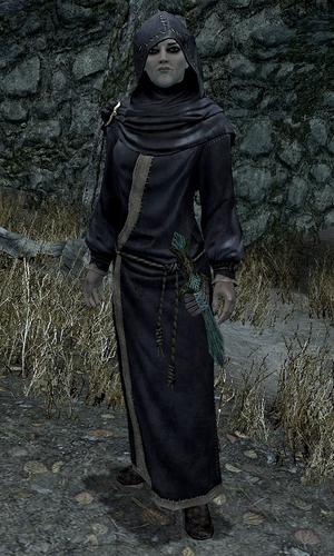 上古卷轴5最强随从,上古卷轴5哪个随从最好