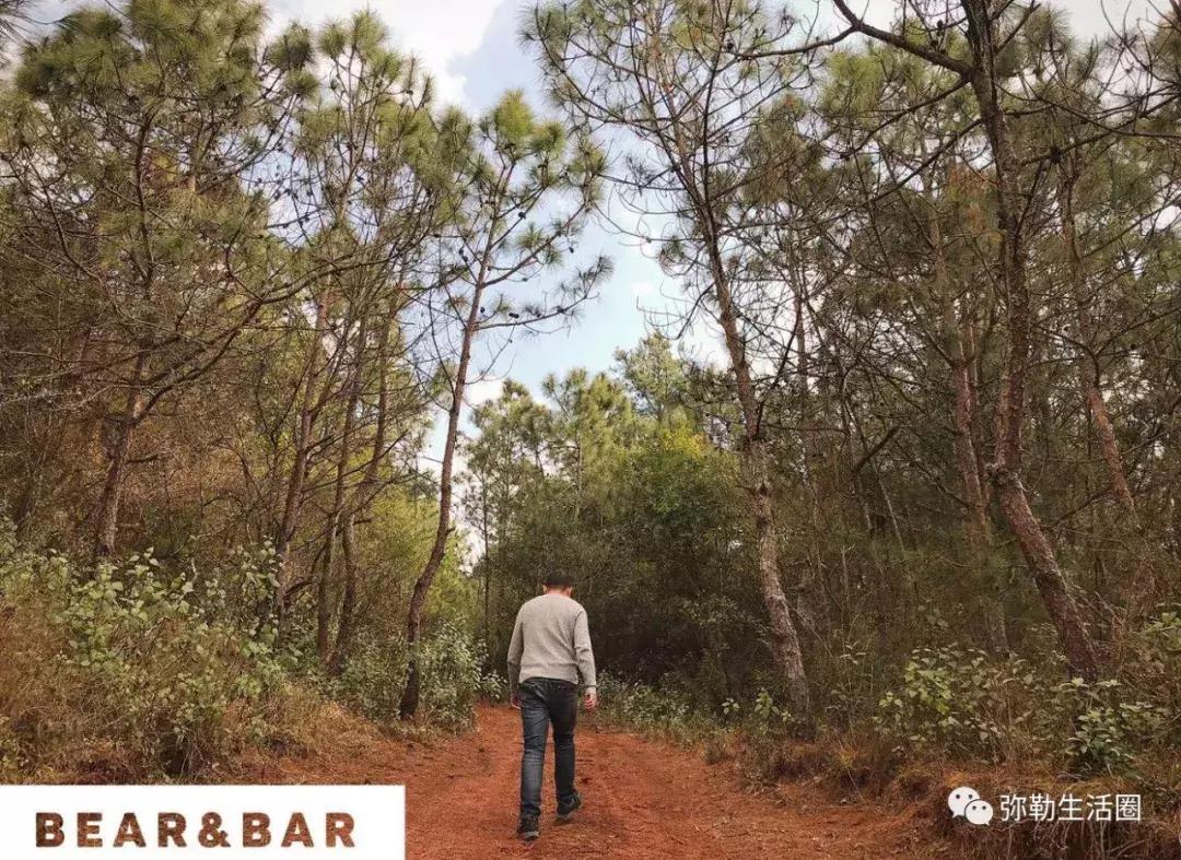 弥勒最好吃的清真餐馆炒菜,弥勒好的菜馆