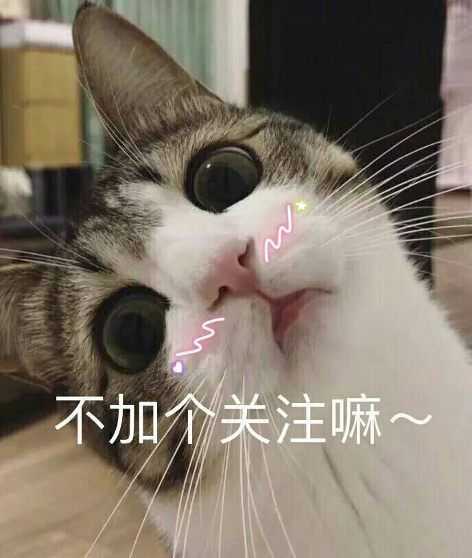 2.8各大平台新春红包汇总，几百块放在这，爱要不要