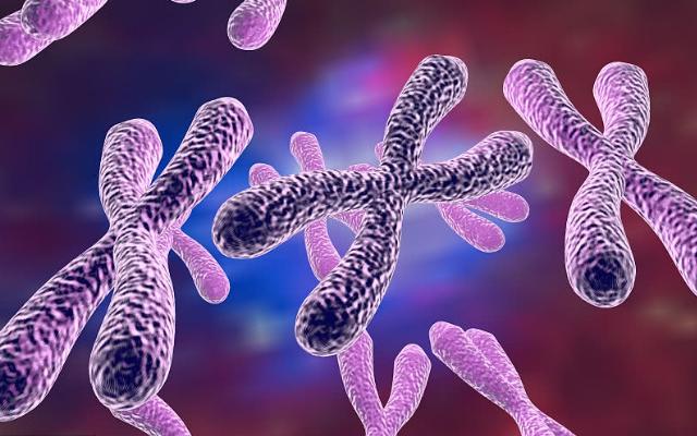 怀孕10周没胎心基本就胎停了,都怀孕十周了为什么反应还不消失