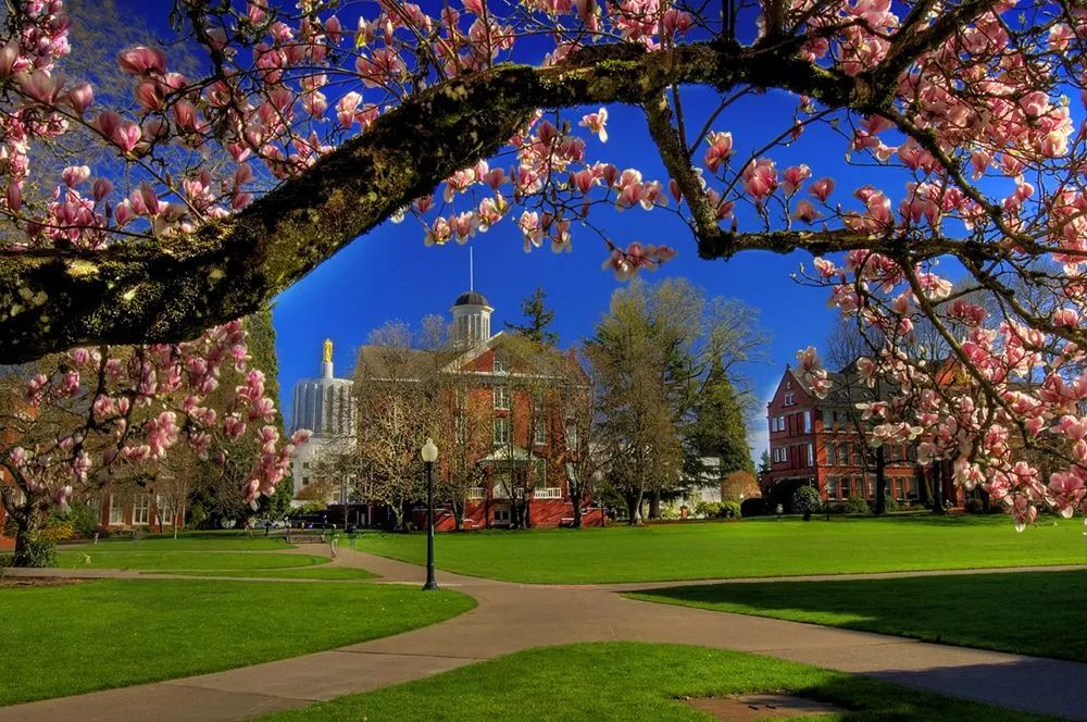 福布斯公布2020年美国大学排行榜,美国安全排名前十大学