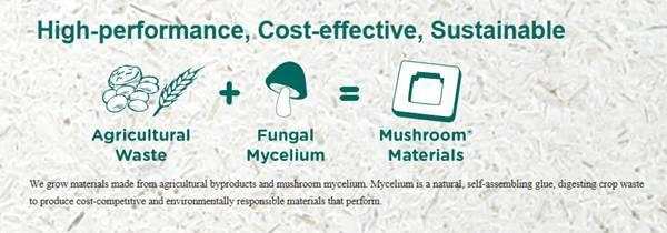 我们有一种大胆的想法,我们有一个大胆的想法和建议