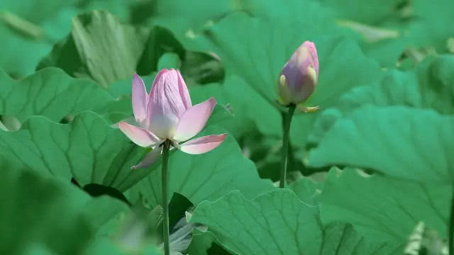 ps撕边效果教程,ps撕边效果名片制作