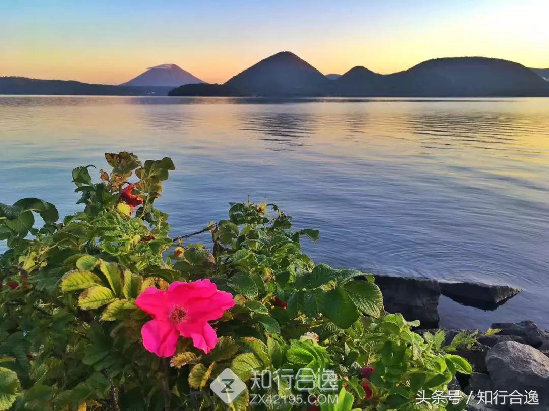 马拉松北海道,北海道马拉松