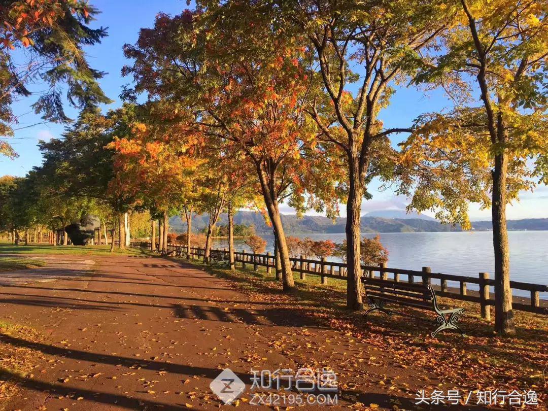 马拉松北海道,北海道马拉松