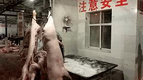 过年了，蒙自的这*猪种**肉千万别买！