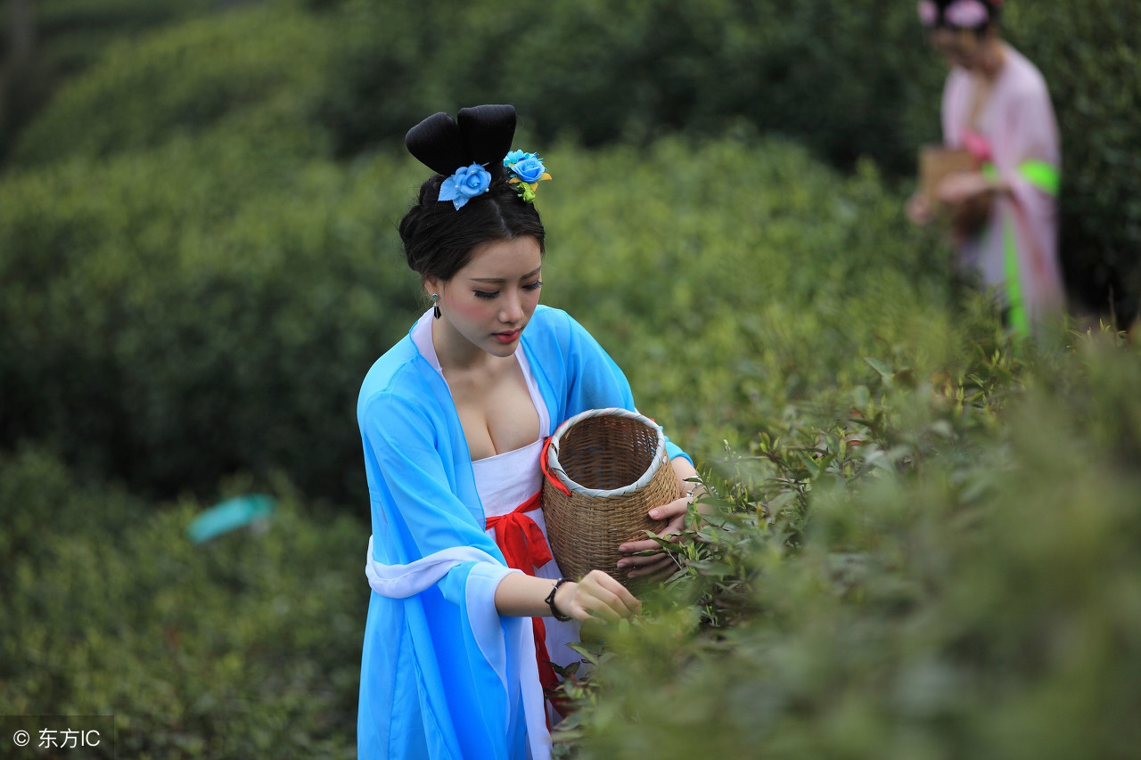 茶文化十大内涵是什么呢,茶文化指的什么茶