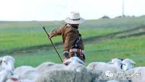 九卦｜当一个牧民遇上金融科技，道口贷改变了什么？