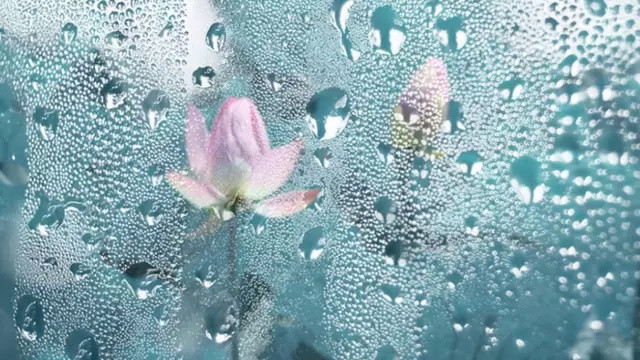 ps撕边效果教程,ps撕边效果名片制作